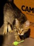 Marty (8)